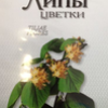 Липы цветки ф/пак. 1.5 г №20, Фирма Здоровье ЗАО